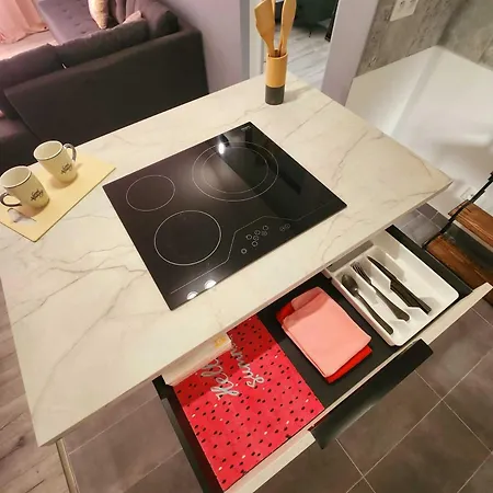 Le Rose De La Gare Apartment *