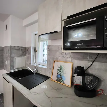 Le Rose De La Gare Apartman *